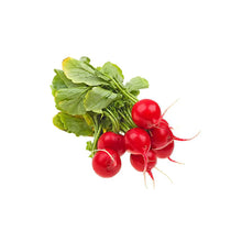 RADISH RED BUNCH