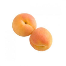 APRICOT KG