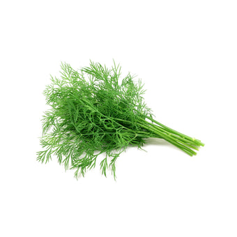 DILL BUNCH