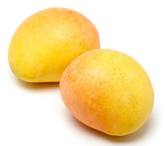 MANGO KENSINGTON PRIDE EACH